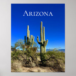 Arizona Saguaro Cactus Desert Poster