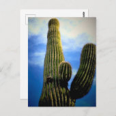 Arizona Saguaro Cactus High Postkarte (Vorne/Hinten)