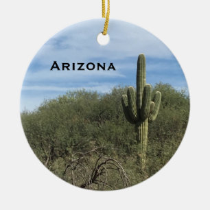 Arizona Saguaro Cactus Landschaft Keramik Ornament
