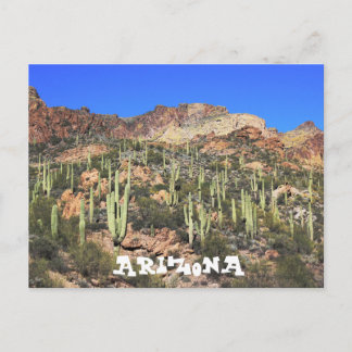 Arizona Saguaro Cactus Postcard Postkarte