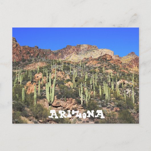 Arizona Saguaro Cactus Postcard Postkarte (Vorderseite)