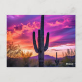 Arizona Saguaro Cactus Southwestern Desert Sunset Postkarte (Rückseite)