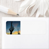 Arizona Saguaro Cactus Southwestern Sunset (Insitu)