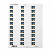 Arizona Saguaro Cactus Southwestern Sunset (Vorne)