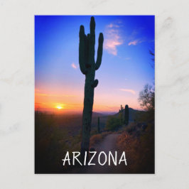 Arizona Saguaro Cactus Sunset Souvenir Travel Postkarte