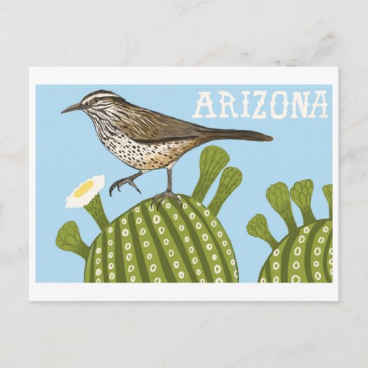 Arizona Saguaro Cactus Wren zeichnend Postkarte (Vorderseite)