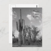 Arizona Saguaro Postcard Postkarte (Vorne/Hinten)