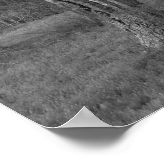 Arizona Saguaro Poster (Ecke)