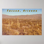 Arizona Saguaros Poster (Vorne)