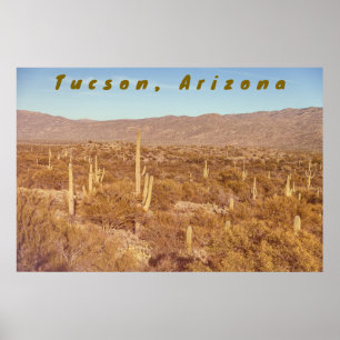 Arizona Saguaros Poster