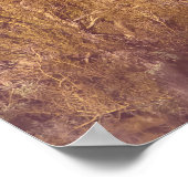 Arizona Saguaros Poster (Ecke)