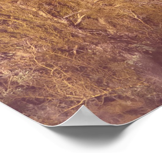 Arizona Saguaros Poster (Ecke)