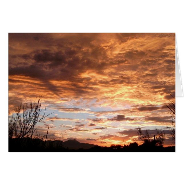 "Arizona Show" (Vorderseite (Horizontal))