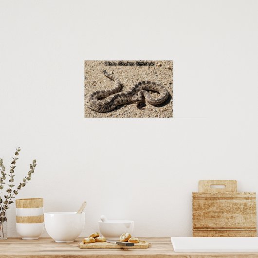 Arizona Sidewinder Rattlesnake Poster (Küche)