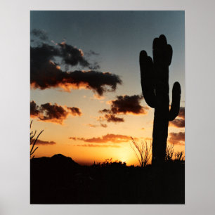 Arizona-Sonnenuntergang Poster