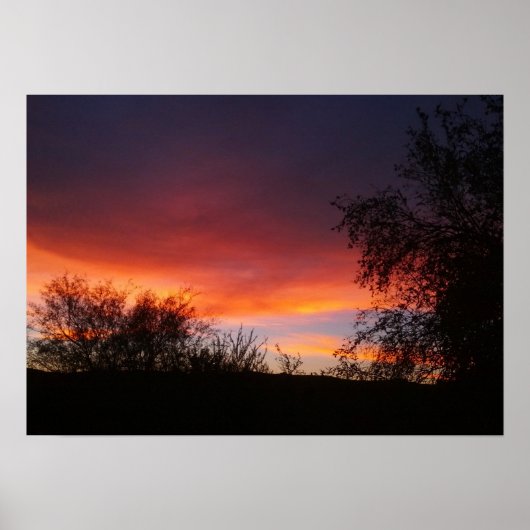 Arizona Sonoran Desert Sunset 21 x 15 Poster (Vorne)