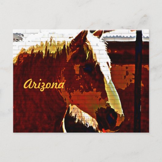 Arizona, Sorrel Pferd im Profil Postkarte (Vorderseite)