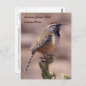 Arizona Staat Bird - Cactus Wren Postcard Postkarte (Vorne/Hinten)