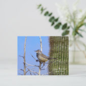 Arizona Staat Bird Postkarte (Stehend Vorderseite)