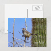 Arizona Staat Bird Postkarte (Vorne/Hinten)