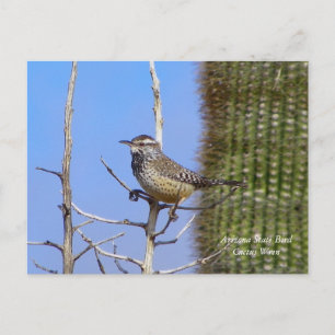Arizona Staat Bird Postkarte