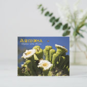 Arizona Staat Blume: Saguaro Cactus Blossom Postkarte (Stehend Vorderseite)