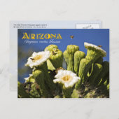 Arizona Staat Blume: Saguaro Cactus Blossom Postkarte (Vorne/Hinten)