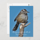 Arizona State Bird Postkarte (Vorne/Hinten)