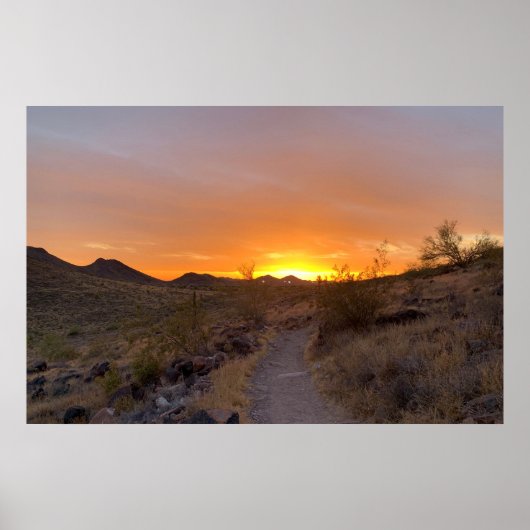 Arizona Südwestwüste Sunset Poster (Vorne)