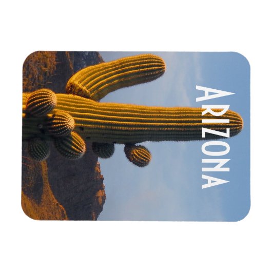 Arizona Sunlit Saguaro Magnet (Horizontal)