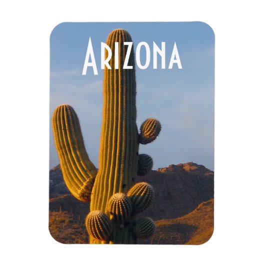 Arizona Sunlit Saguaro Magnet (Vertikal)