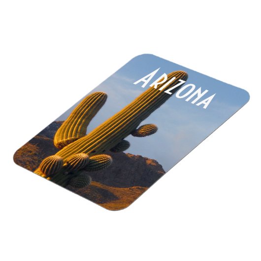 Arizona Sunlit Saguaro Magnet (Linke Seite)