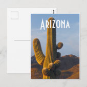 Arizona Sunlit Saguaro Postkarte (Vorne/Hinten)