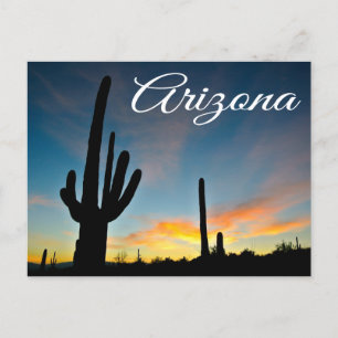 Arizona Sunrise Cactus & Desert Travel Postcard Postkarte