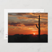 Arizona Sunset - atemberaubend Postkarte (Vorne/Hinten)