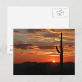 Arizona Sunset - atemberaubend Postkarte (Vorne/Hinten)