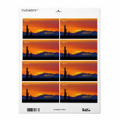 Arizona Sunset / Bright Orange / Saguaro Cactus (Vorne)