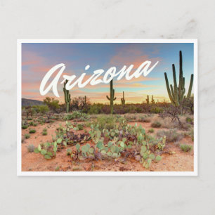 Arizona Sunset Cactus Foto Postcard Postkarte
