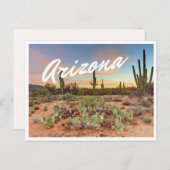 Arizona Sunset Cactus Foto Postcard Postkarte (Vorne/Hinten)