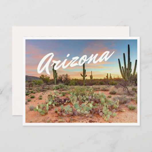 Arizona Sunset Cactus Foto Postcard Postkarte (Vorne/Hinten)