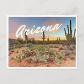 Arizona Sunset Cactus Foto Postcard Postkarte (Vorderseite)