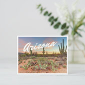 Arizona Sunset Cactus Foto Postcard Postkarte (Stehend Vorderseite)