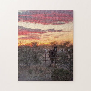 Arizona Sunset Horse Puzzle