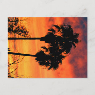 Arizona Sunset Postkarte