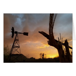 Arizona Sunset Windmill Saguaro Cactus Skeleton