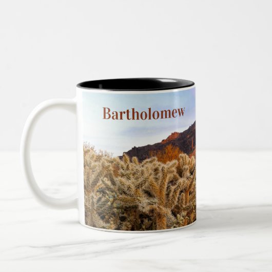 Arizona Superstition Berg Cholla Cactus Zweifarbige Tasse (Links)