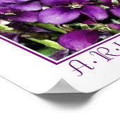 Arizona-violette Blütendrucke Poster (Ecke)