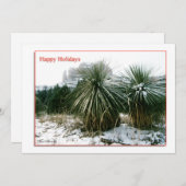 Arizona Weihnachten (Vorne/Hinten)