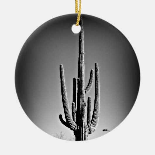 Arizona-Weihnachten Keramik Ornament (Vorne)