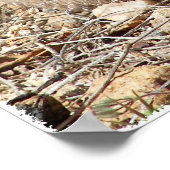 Arizona Western Diamondback Rattlesnake Poster (Ecke)